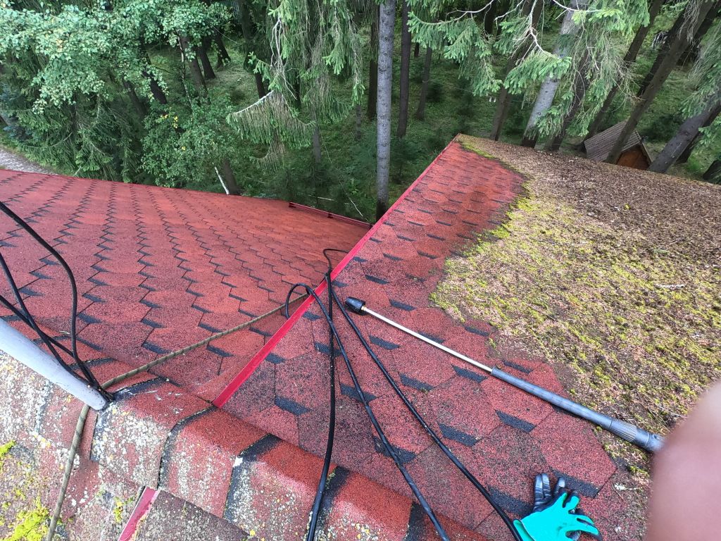 Как удалять мох с крыши правильно